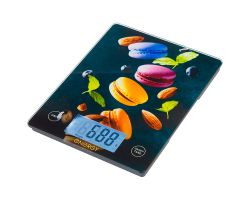 1ce1aa30b2ff11f0bac43cecef80dc95_b1b64f91b47111f0bac43cecef80dc95