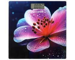 75669783b30911f0bac43cecef80dc95_f266209eb48411f0bac43cecef80dc95